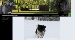 Desktop Screenshot of domainedelabadouillere.com